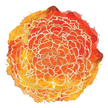 United States Oil Fund LP 로고